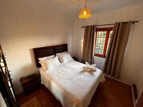 Forest Hostel