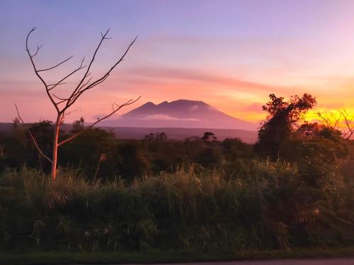 Mccp glamping and resort in Cavinti