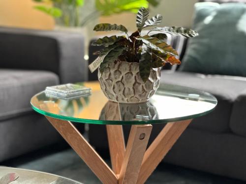 Daisy Cottage on Duke 2BR – khách sạn tại Yarram