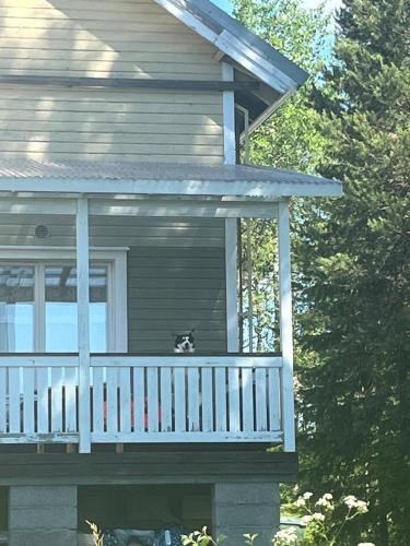 350m² 9 guļamistaba, 5 privāta vannas istaba Dzīvoklis Komula
 (B&B Aittoranta) in Komula