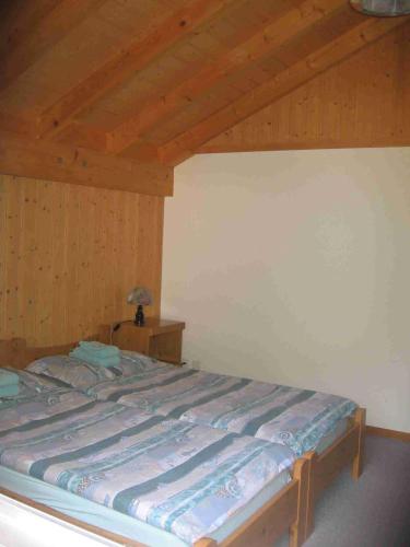 Hotel-Restaurant Stechelberg Bed & Breakfast - image 8
