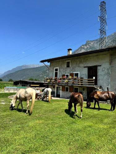 L' Èef Cascina gîte à louer San Cassiano