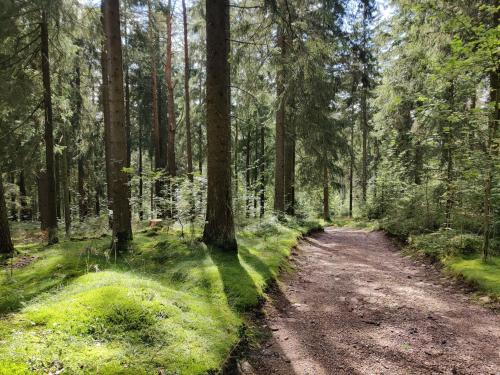 Sports un aktivitātes, Ferienhaus am Wald in Nahetal-Waldau
