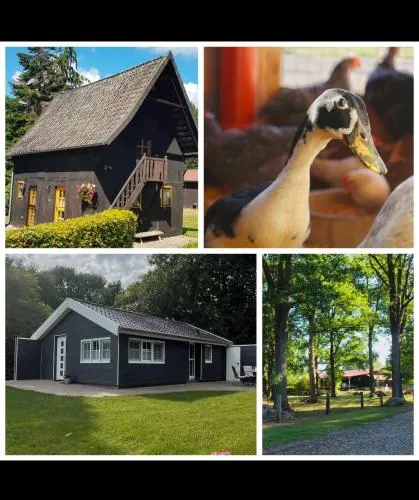 Hof von Felde in Soltau, Deutschland