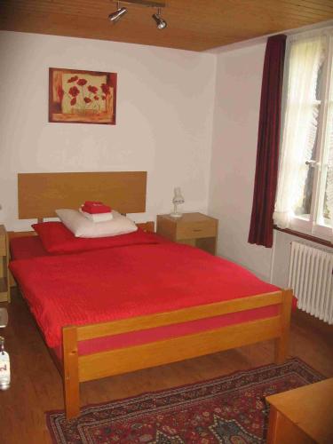 Hotel-Restaurant Stechelberg Bed & Breakfast - image 11
