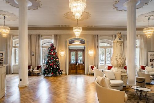 Előcsarnok, TH Borca - Park Hotel Des Dolomites in Borca di Cadore