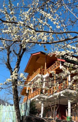 The Himalyan plum tree cottage in Bashkola