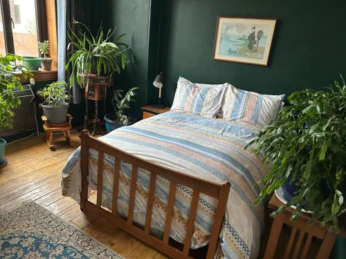 Large cosy room in G3, Glasgow