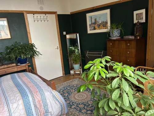 Large cosy room in G3, Glasgow (fotografie 2)