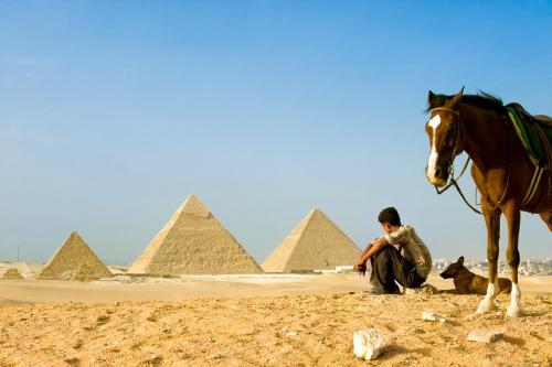 Occidental Cairo Grand Museum - image 5