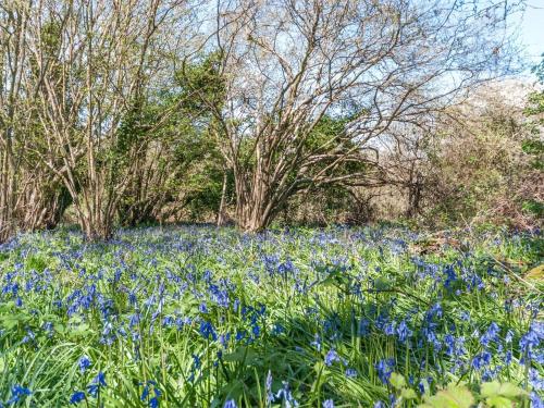 Facilities, 3 Bed in Borthwood oc-ic015 in Arreton and Newchurch