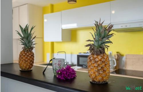 Moutte - Superbe appartement pour deux, Fort-de-France