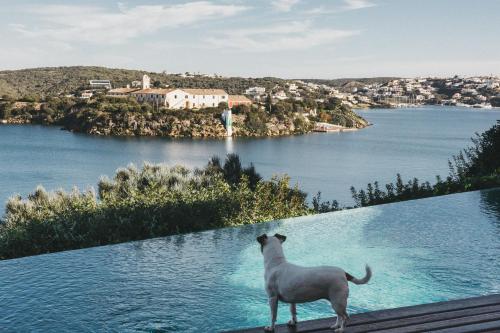 Casa Barbara - Vistas al puerto – khách sạn tại Es Castell
