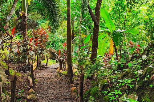 Las Catalinas Ecologicas (El Maizal) in Chame