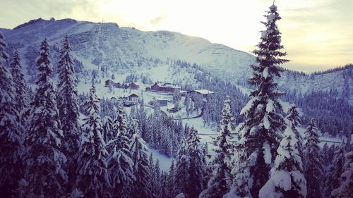 JoSchi Almhütte Hochkar - image 5