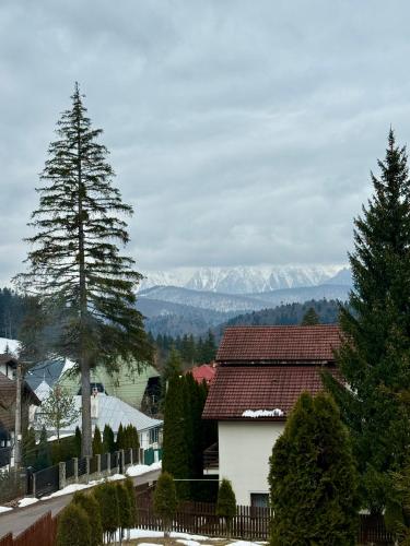 Vila Offline in Predeal