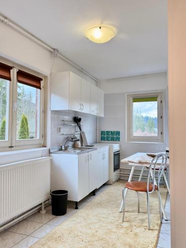 Vila Offline in Predeal