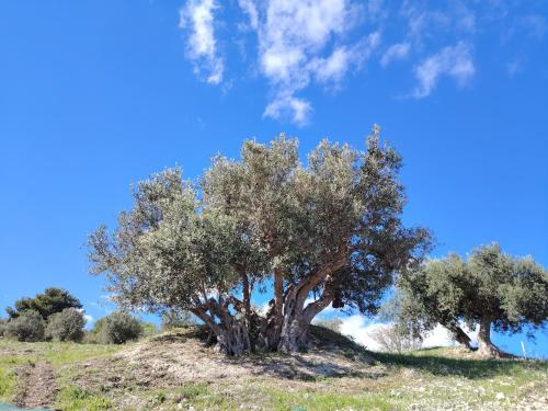 Agriturismo Finazzo 5