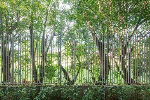 Corporate Studio in San Jose Urban Flats Building in Pozos