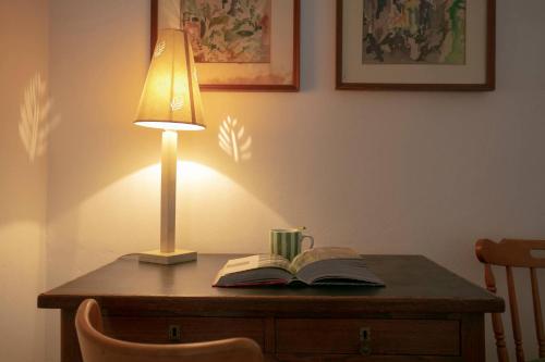 Roommo Viuzzo delle Canne - image 4