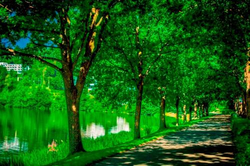 Sport és szabadidő, Feriendomizil Haus am See in Biersdorf