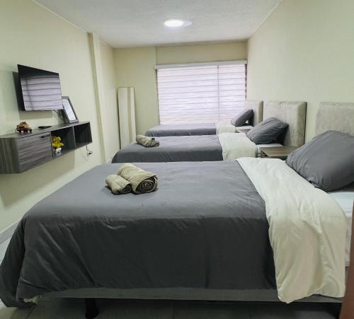 AShostEcuador, Quito, rooms & suits, Quito cerca parque La Carolina in Rumipamba