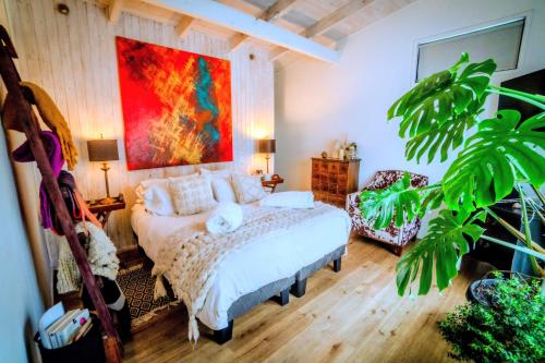 Hau Lodge Malalcahuello Corralco Starlink