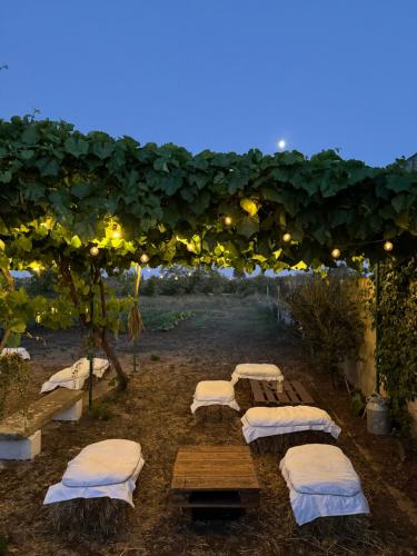 Residence LA RONDINE - Porto Badisco