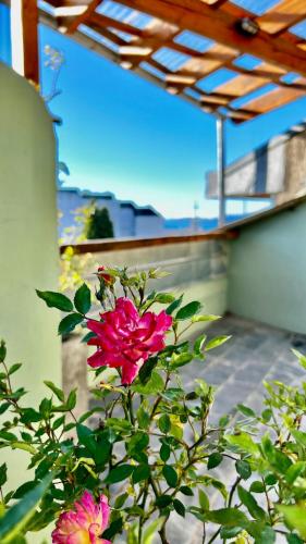 Experiencia con Terraza - Centro