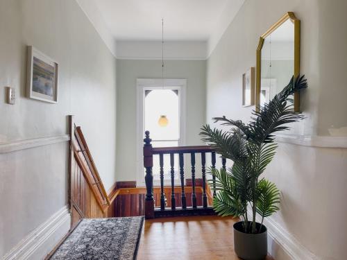 Hotelli välisilme, The Fenway Hostel in Launceston