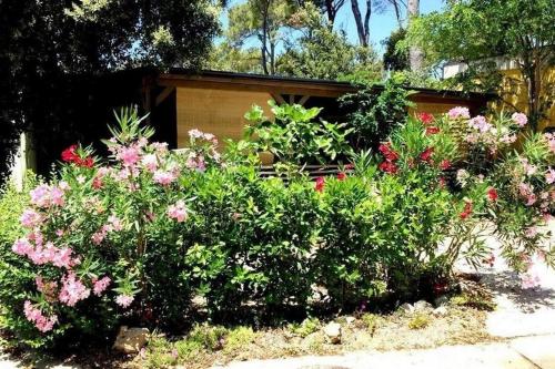 Apartments by the sea Biograd na Moru Biograd - 25398 - image 5