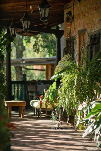 Balkons/terase, Los Cuatro Olivos Hotel Boutique in Juayua