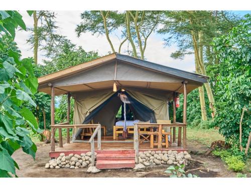 Migunga Tented Camp - Tsavo West National Park