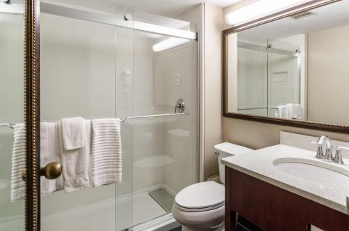 Comfort Inn & Suites West Springfield - image 24