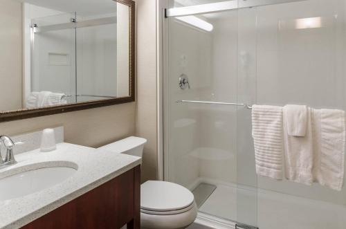 Comfort Inn & Suites West Springfield - image 22