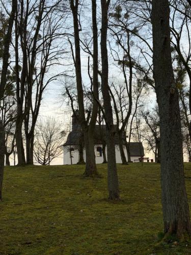 附近景點, Ferienwohnung -Alte Backstube- in 哈達馬爾