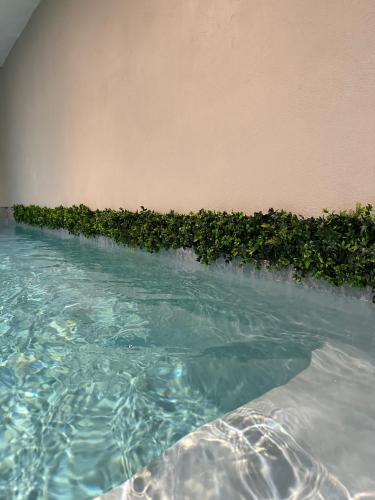 LES RUBYS appartement complet terrasse privée, piscine chauffée (LES RUBYS appartement complet terrasse privee, piscine chauffee) in La Chevillotte