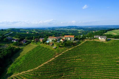 . das kappel wein gut hotel