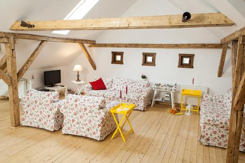 Facilities, Aronson Villa Tusnad in Baile Tusnad