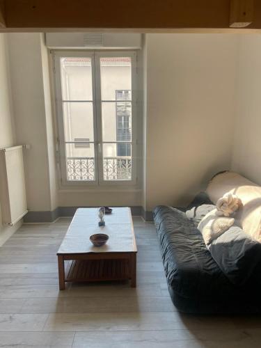 T2 Cosy mezzanine & cheminée Europole Gare IUT GEM