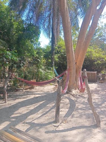 Jallo Kurundingoto Eco Tourist Camp in Gunjur