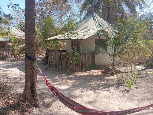 Jallo Kurundingoto Eco Tourist Camp in Gunjur