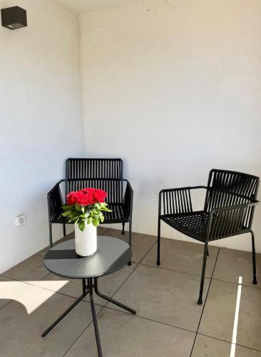 Charming 2-room apartment, Terrace, Close to Calanques Sormiou in Baumettes