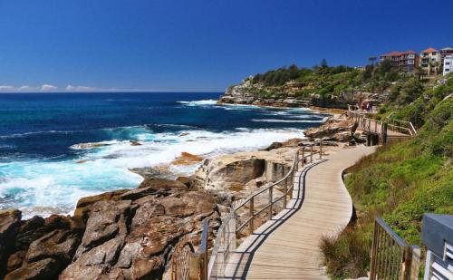 Bondi Junction Apt Close to Shops Transport and Beach - image 6