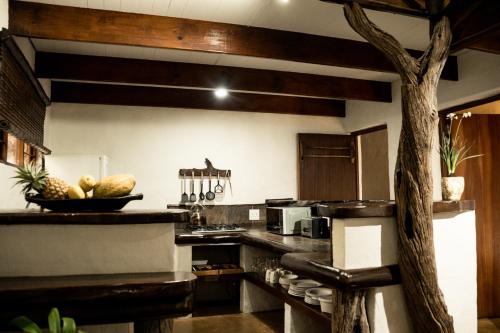 virtuve, LittleBush Private Lodge in Kampersrus AH