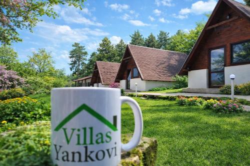 Вили Янкови in Lyaskovets