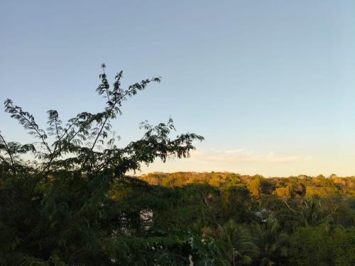 Surrounding environment, Casa tierno amanecer in Xpujil