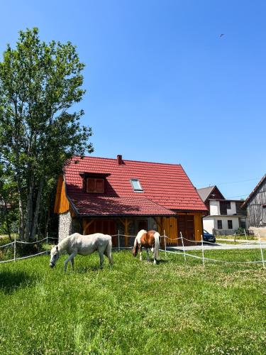 外觀, Kuća za odmor Goranski mir (Kuca za odmor Goranski mir) in 松格