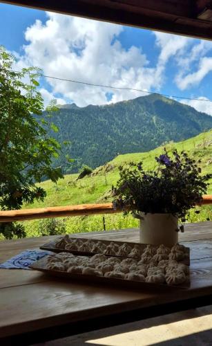 Guesthouse hegho სასტუმრო ჰეღო in Omalo