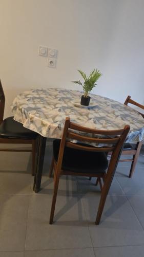 Magnifiques T2 calme ensoleillee in Les Trois-Lucs